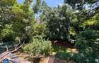 0.5 ac Land in Spring Valley - 4