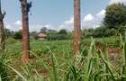 1 ac Land at Ngecha - 6