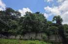 Residential Land in Kitisuru - 9