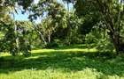 Land at Mtwapa - 12