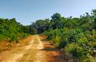 Land in Vipingo - 10