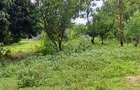 Land at Mtwapa - 16