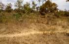 Land at Makuyu - 10