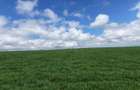 314 ac Land at Timau - 32
