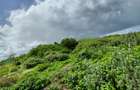Land in Watamu - 7