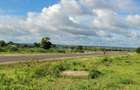 Land in Mombasa CBD - 1