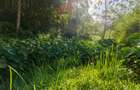 Land in Kitisuru - 4