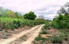 10 ac Land at Kuruwitu Vipingo - 1