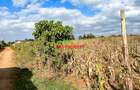 0.05 ha Residential Land in Kamangu - 10