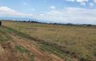 Land at Naivasha - 2