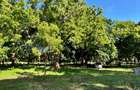 Land in Vipingo - 6