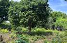 8,093.72 m² Land at Diani 3Rd Row Beach - 3