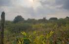 Land in Runda - 10