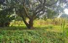 Land in Lower Kabete - 4