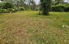 4 Bed House with En Suite in Nyari - 6