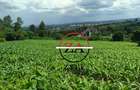 0.125 ac Land at Kanunga Kiambu Road - 6