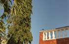 4 Bed Villa with En Suite at Greenwood Nyali - 16