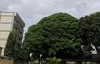 0.115 m² Land at Opp Hotel Comster - 1