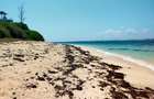 1,012 m² Residential Land at Seafront Estate - 15