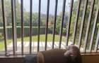 4 Bed House with En Suite in Runda - 8