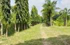 3 Bed House in Mtwapa - 14