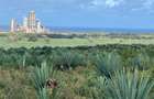 4,046.86 m² Commercial Land at Vipingo Sez ( Special Economic Zone) - 20
