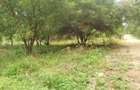 Commercial Land in Vipingo - 4