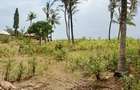 Land in Kilifi - 3