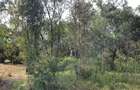 Land in Karen - 2