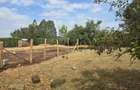 Land at Next To Tilisi Estate - 9