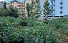 0.25 ac Land in Ruaka - 1