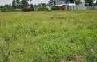 0.35 ha Residential Land at Ufanisi Lane Mugutha - 1