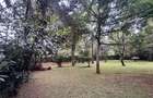 4 Bed House with En Suite at Karen - 6