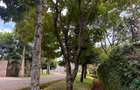 Land in Kiambu Road - 10