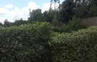 5 Bed Townhouse with En Suite at Kibiko - 7