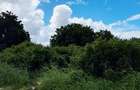 Land at Malindi - 12