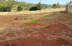 0.46 ha Residential Land at Ondiri - 8
