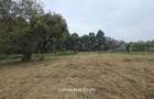 0.5 ac Land in Garden Estate - 1