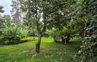 5 Bed House with En Suite at Spring Valley - 8