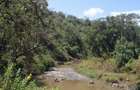 Land in Naivasha - 5