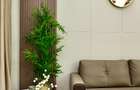 Furnished 1 Bed Apartment with En Suite in Mirema - 19
