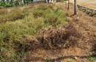 Land at Mtwapa - 6
