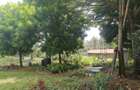 Land in Karen - 4