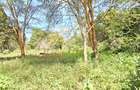 Residential Land at Shanzu Road - 12