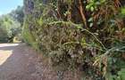 Land at James Gichuru - 5