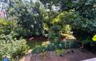 0.5 ac Land in Spring Valley - 2