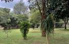 4 Bed House at Near Giraffe Centre - 4