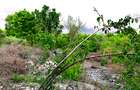 2,010 m² Residential Land at Second Row Kuruwitu Beach - 9