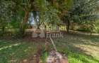 4.8 ac Land at Riara Ridge - 9