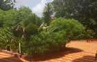 2 Bed Apartment with En Suite in Malindi - 8